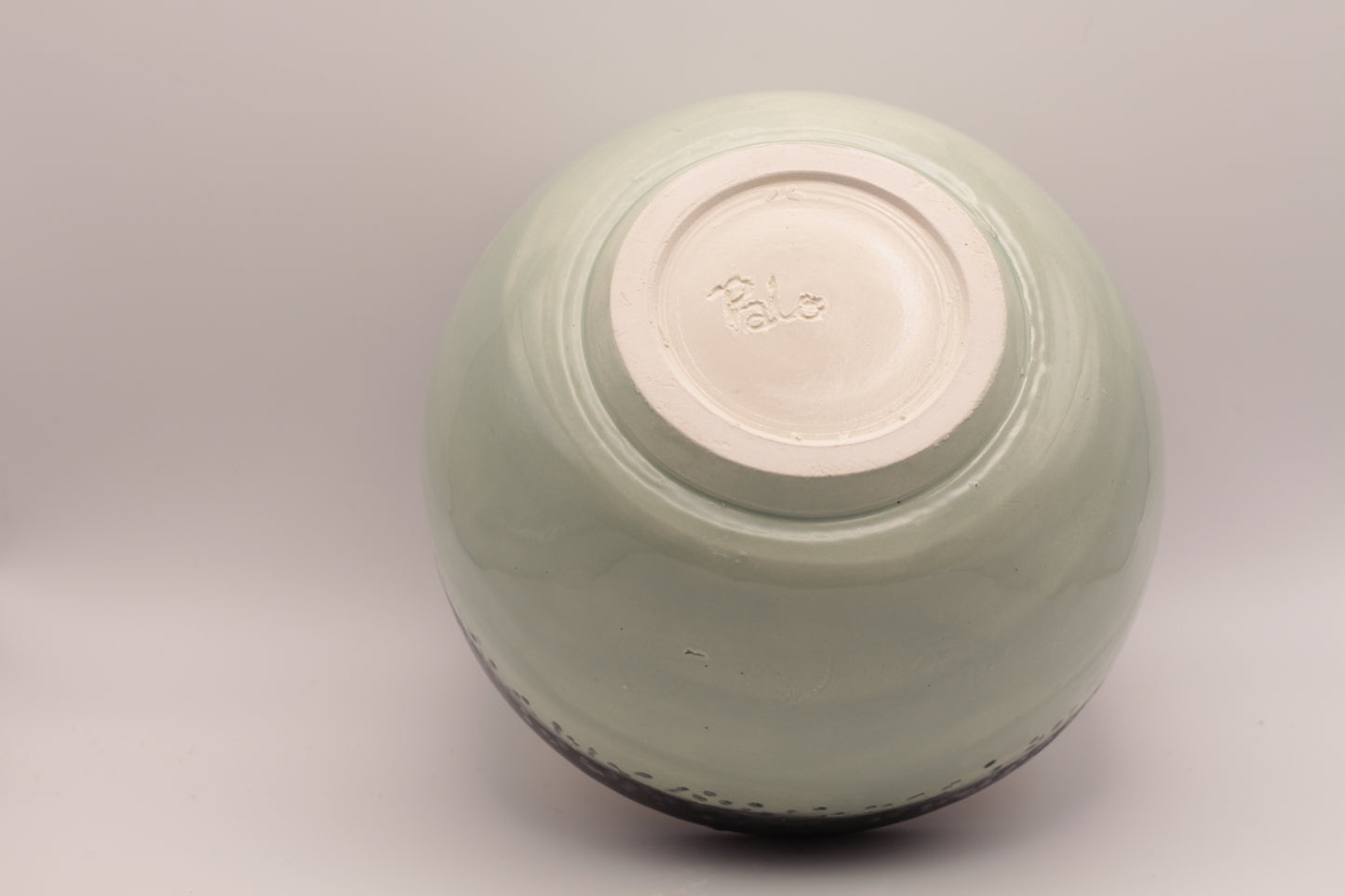 Bowl SEMILLAS